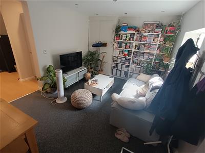 Picture 5